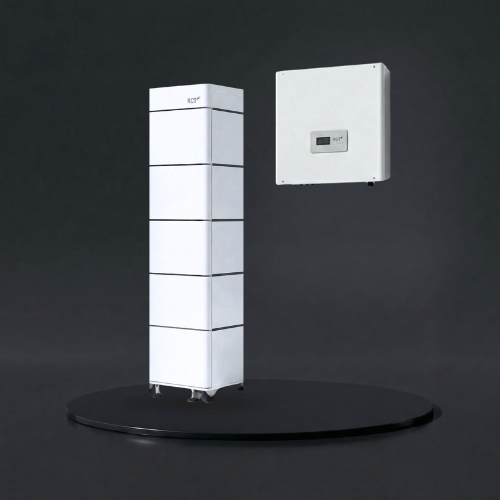 RCT Power Storage DC 6.0 mit Battery 9.6